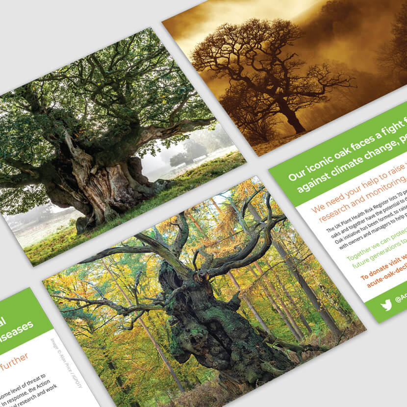 Postcard / Flyer design - Action Oak UK
